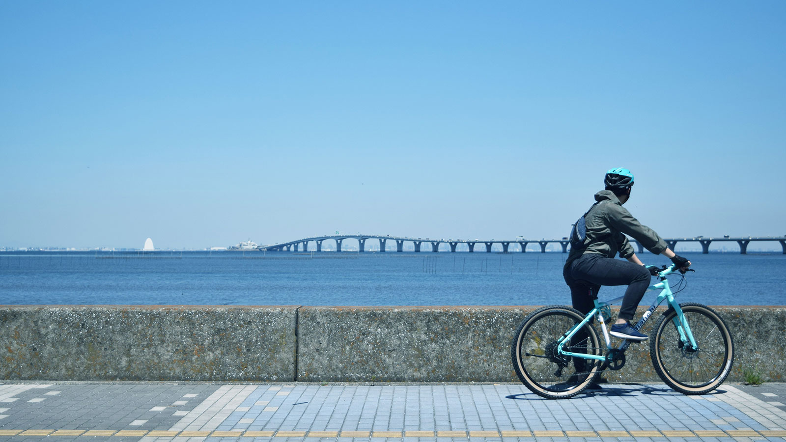 中の島大橋