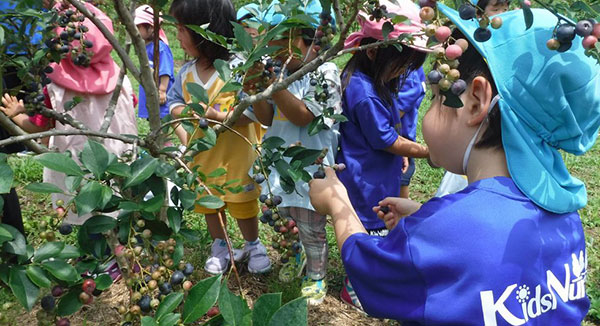 ブルーベリー園 のらり・くらり