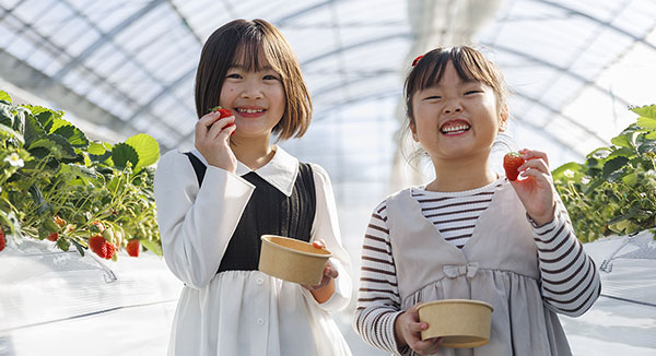 三日月いちごパーク